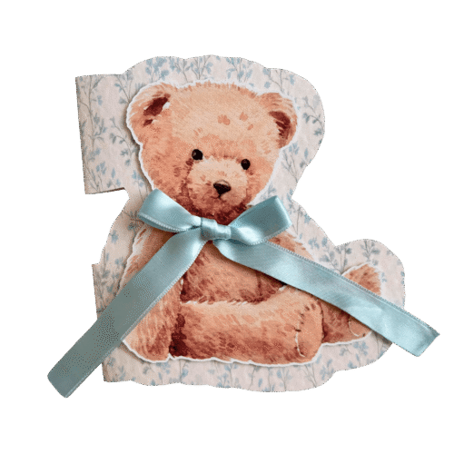 Atvirukas MEŠKUTIS berniukams